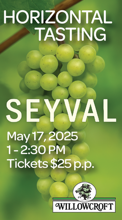 Seyval Blanc Horizontal Tasting